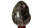Polished Septarian Puzzle Geode - Black Crystals #113659-1